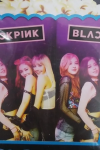 MISIR KUTUSU BLACKPINK 8 Lİ