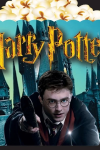 MISIR KUTUSU HARRY POTTER 8 Lİ