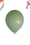 Pastel 05" Balon Hbk Okaliptus