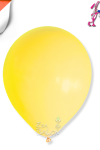 Pastel 10" Balon Hbk SARI 