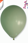 Pastel 12" Balon Hbk Okaliptus